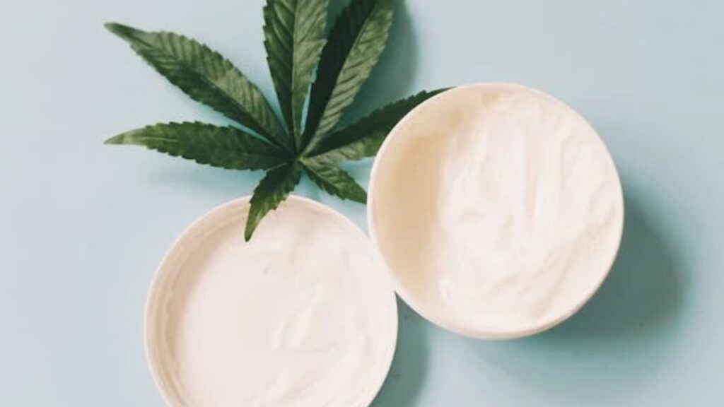 Frequently Asked Questions About Cream Ly