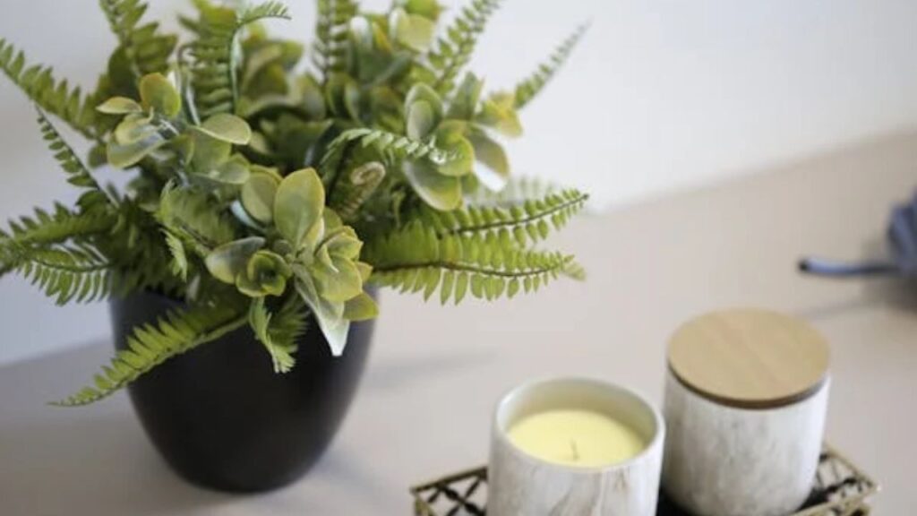 The Appeal of Fake Weed Plants