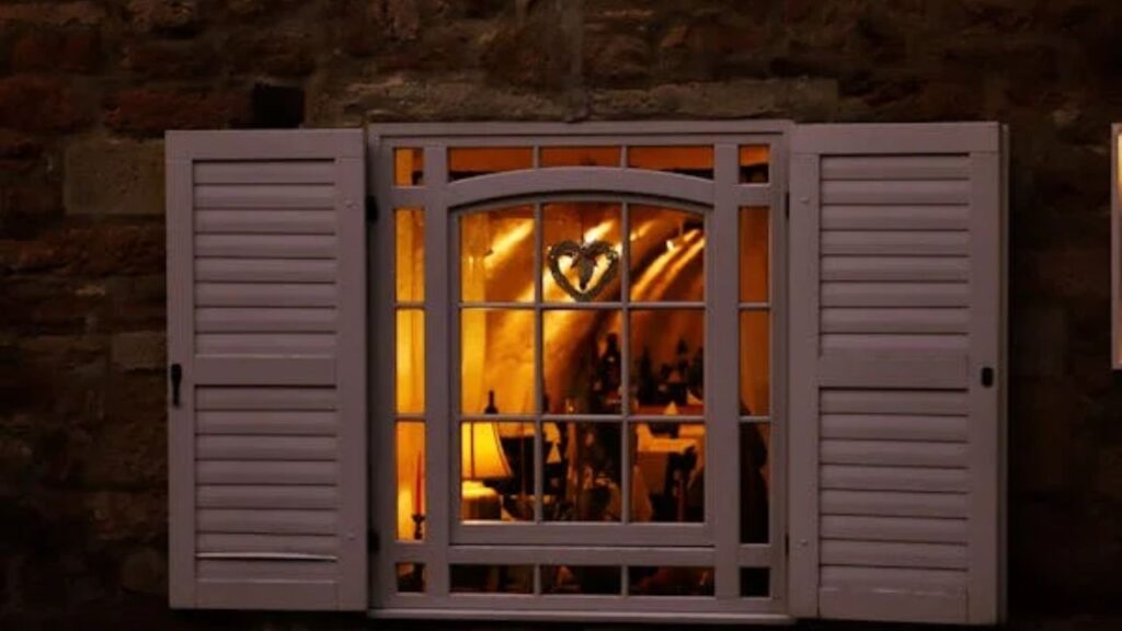 What Are Window Well Liners
