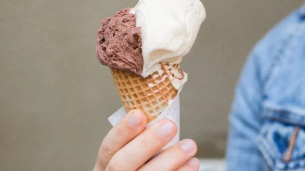 Blueberry Baby Cones_ A Symphony of Sweet and Tart