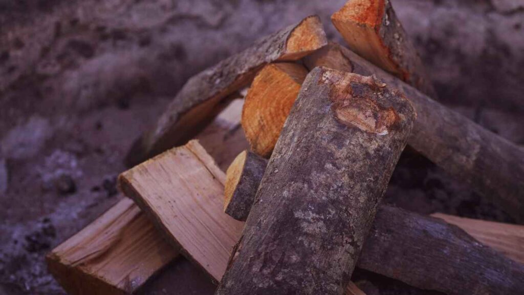 The Benefits of Seasoned Firewood