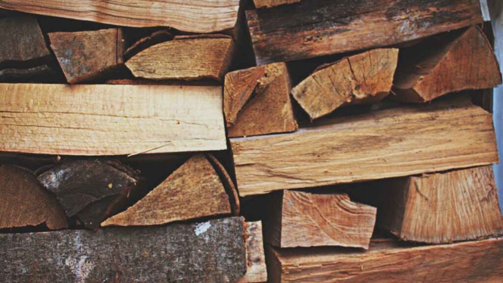 Understanding the Importance of Firewood
